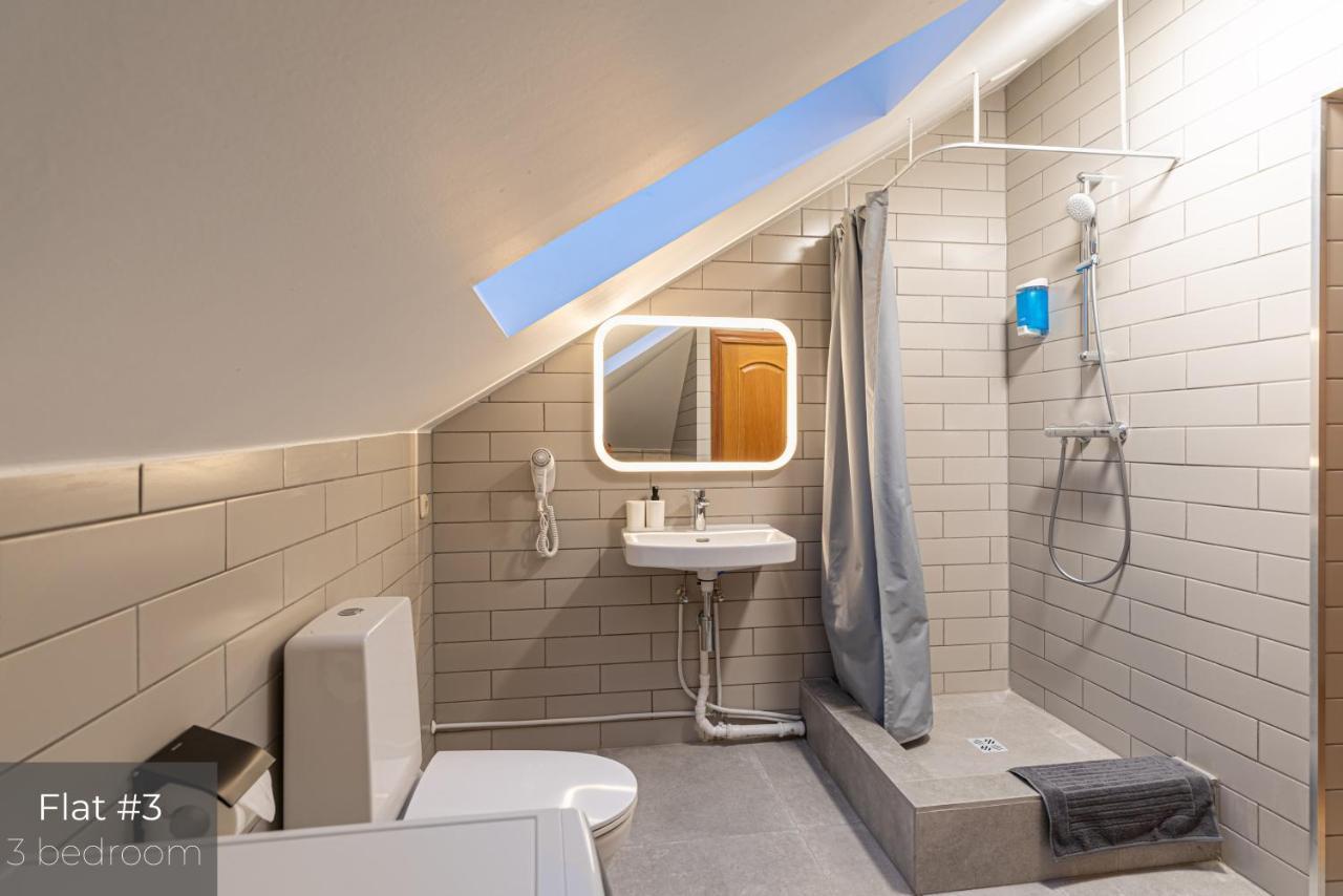 Dandelion Apartments Xixc Cottage 里加 外观 照片